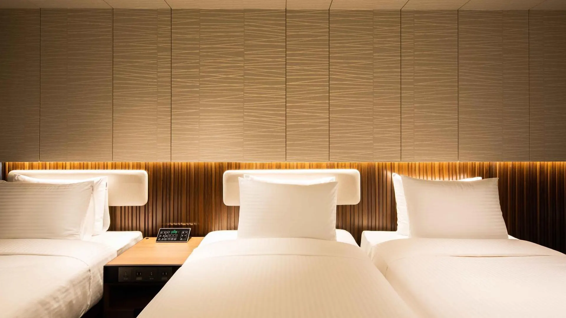*** Hotel Sotetsu Fresa Inn Seoul Myeong-Dong Corea del Sud
