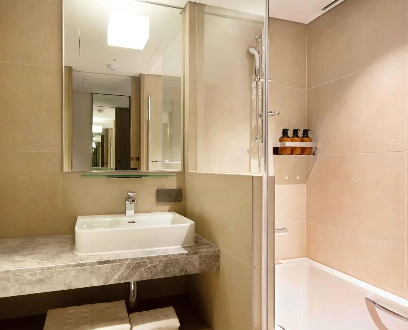 Hotel Sotetsu Fresa Inn Seoul Myeong-Dong