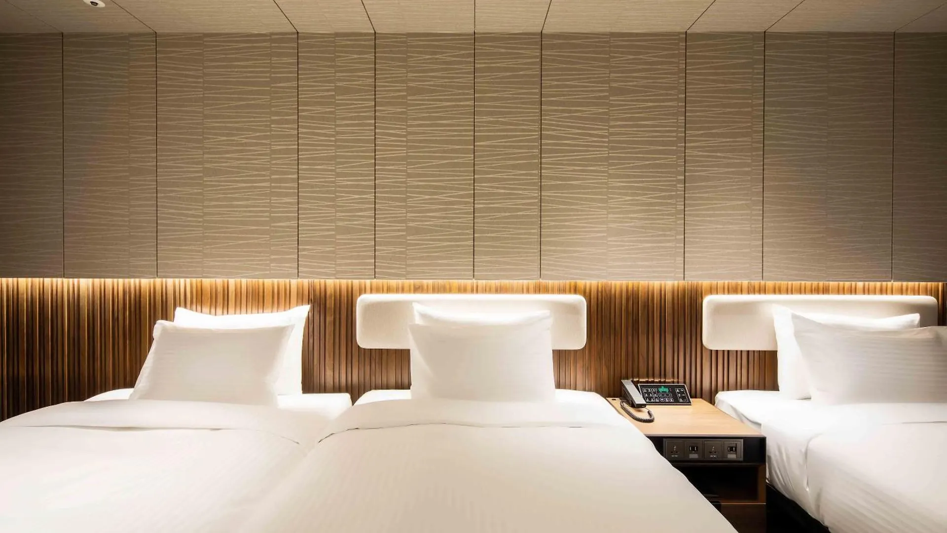 Sotetsu Fresa Inn Seoul Myeong-Dong 3*,
